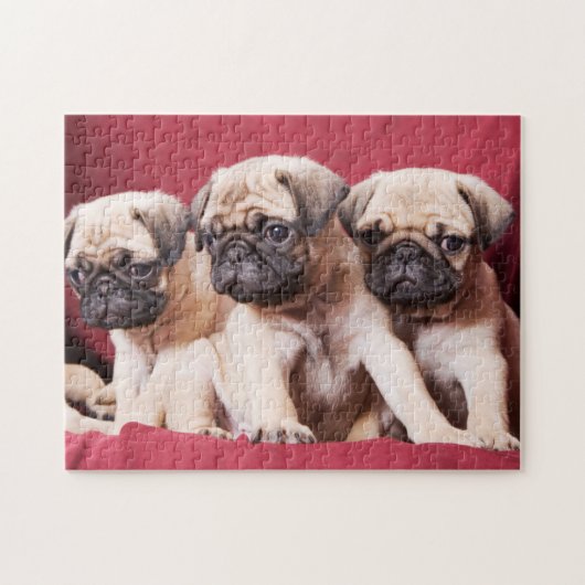 Pug Triplets Legpuzzel (Horizontaal)