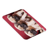 Pug Triplets Magneet (Rechterzijde)