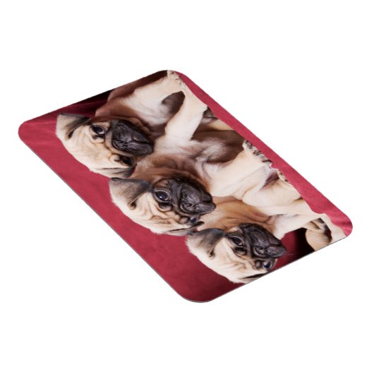Pug Triplets Magneet (Rechterzijde)