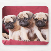 Pug Triplets Muismat (Voorkant)
