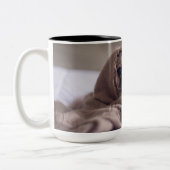 Pug Tweekleurige Koffiemok (Links)