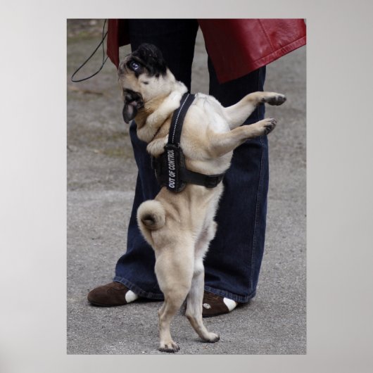 Pug uit controle poster (Voorkant)