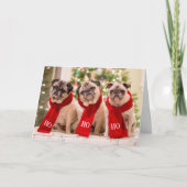 Pug Vakantie/Kerstkaart. Minnie, Maximum en Matti Feestdagen Kaart (Voorkant)