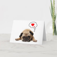 Pug Valentijn