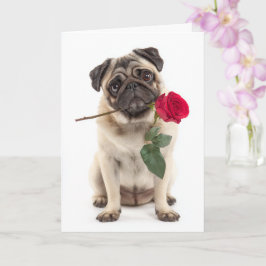 Pug Valentijn Kaart