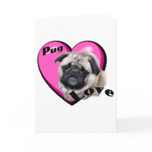 Pug Valentijnsdag