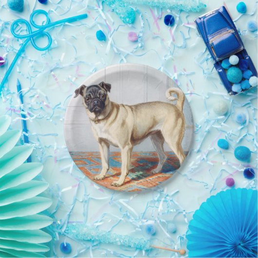 Pug van Conradijn Cunaeus Papieren Bordje (Feest)