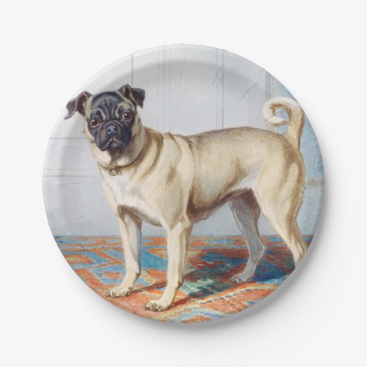Pug van Conradijn Cunaeus Papieren Bordje (Voorkant)