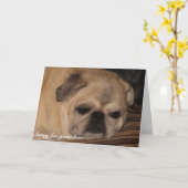 Pug van de de sympathiekaart van het huisdier kaart (Gele Bloem)