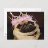 Pug van de prinses briefkaart (Voorkant / Achterkant)