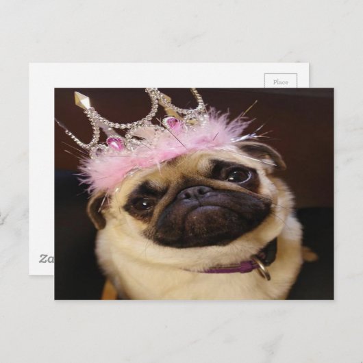 Pug van de prinses briefkaart (Voorkant / Achterkant)