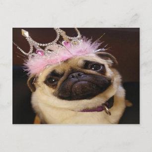 Pug van de prinses briefkaart