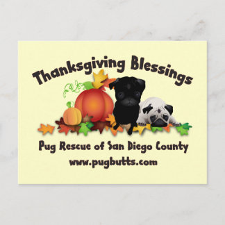 Pug van de Thanksgiving T - shirts en Giften - 4 Feestdagenkaart
