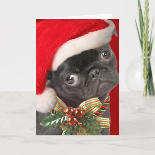 Pug van het baby de Kaarten van de Kerstman (Voorkant)