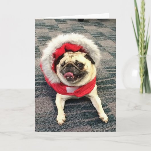 Pug van Kerstmis Feestdagen Kaart (Voorkant)