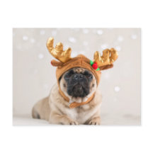 Pug van Kerstmis