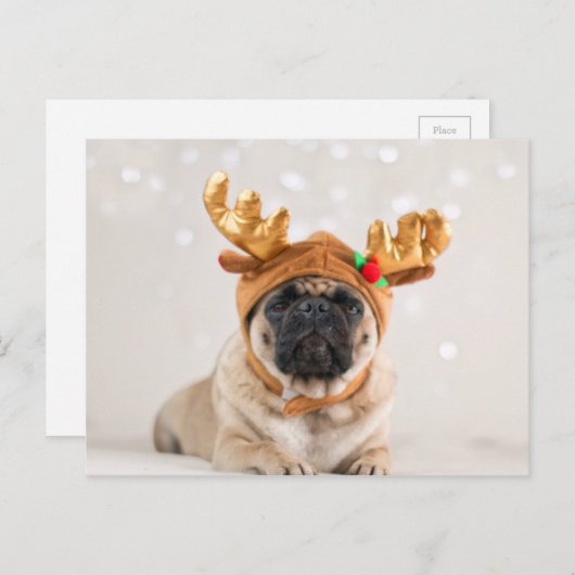 Pug van Kerstmis Feestdagenkaart (Voorkant / Achterkant)