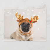Pug van Kerstmis Feestdagenkaart (Voorkant)