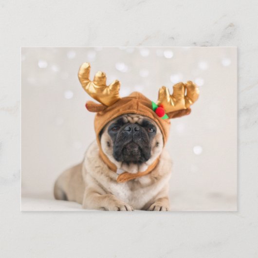 Pug van Kerstmis Feestdagenkaart (Voorkant)