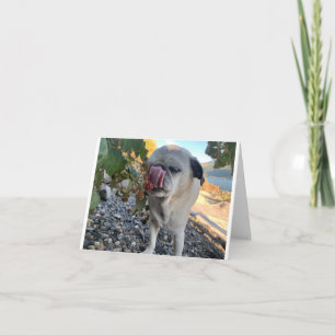 Pug verjaardag grappig kaart