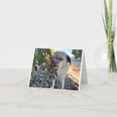 Pug verjaardag grappig kaart (Voorkant)