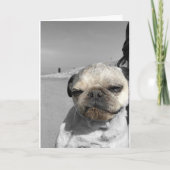 Pug-verjaardagskaart Get Dirty Kaart (Voorkant)