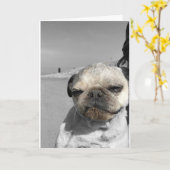 Pug-verjaardagskaart Get Dirty Kaart (Gele Bloem)