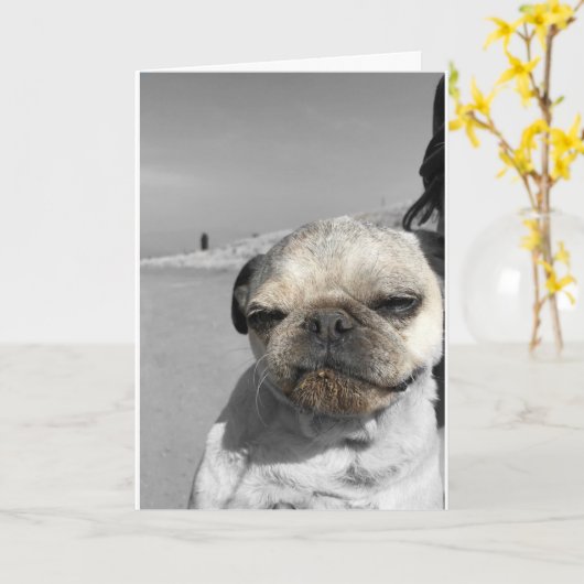 Pug-verjaardagskaart Get Dirty Kaart (Gele Bloem)
