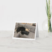 Pug verjaardagskaart grappig kaart (Voorkant)