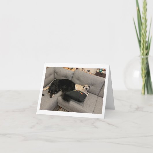 Pug verjaardagskaart grappig kaart (Voorkant)