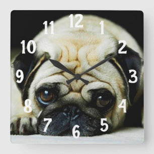 Pug Vierkante Klok