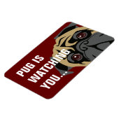 Pug volgt magneet (Linkerzijde)