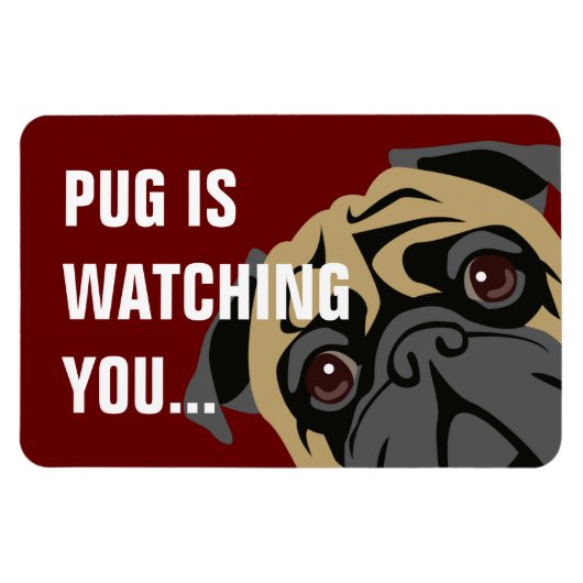 Pug volgt magneet (Horizontaal)