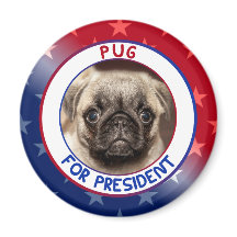 PUG VOOR PRESIDENT