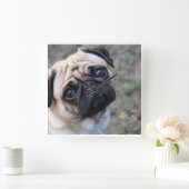 Pug Wall klok (Huis)