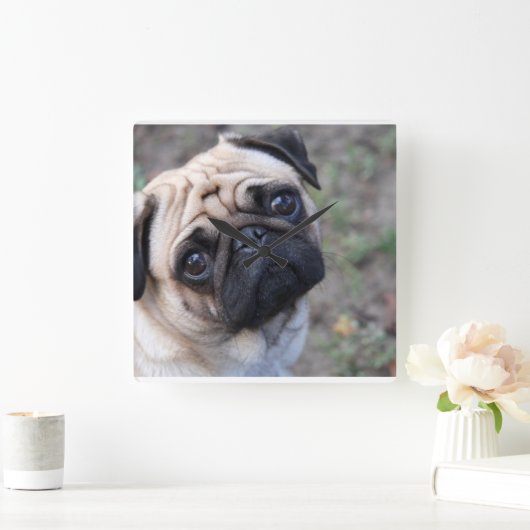 Pug Wall klok (Huis)