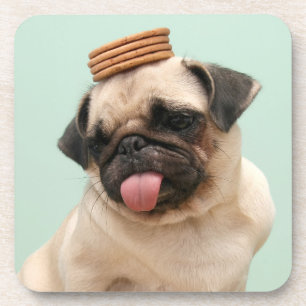 Pug Wants-behandelingen Bier Onderzetter