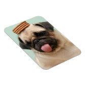 Pug Wants-behandelingen Magneet (Rechterzijde)