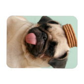 Pug Wants-behandelingen Magneet (Horizontaal)