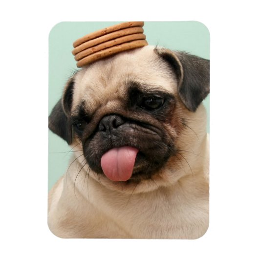 Pug Wants-behandelingen Magneet (Verticaal)