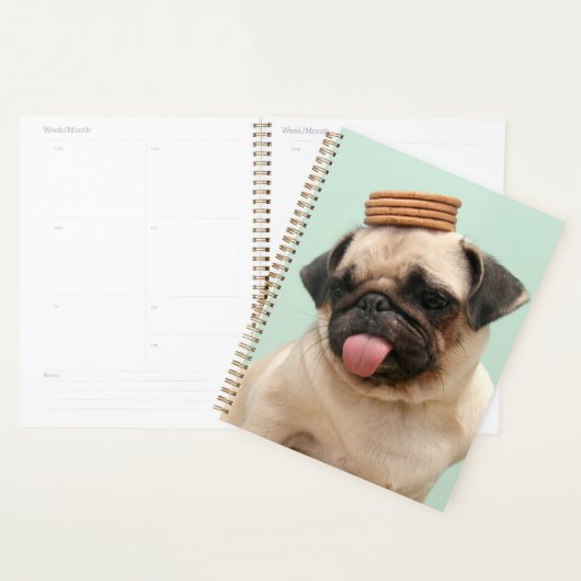 Pug Wants-behandelingen Planner (Display)