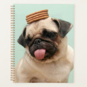 Pug Wants-behandelingen Planner (Voorkant)
