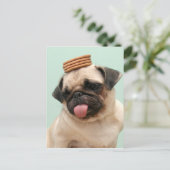 Pug Wants Treats Briefkaart (Staand voorkant)