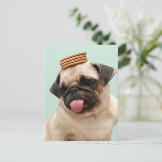 Pug Wants Treats Briefkaart