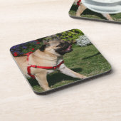 Pug Wearing Red Harness Bier Onderzetter (Linkerzijde)