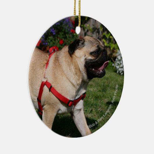 Pug Wearing Red Harness Keramisch Ornament (Rechts)