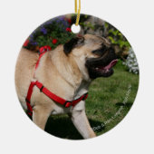 Pug Wearing Red Harness Keramisch Ornament (Voorkant)