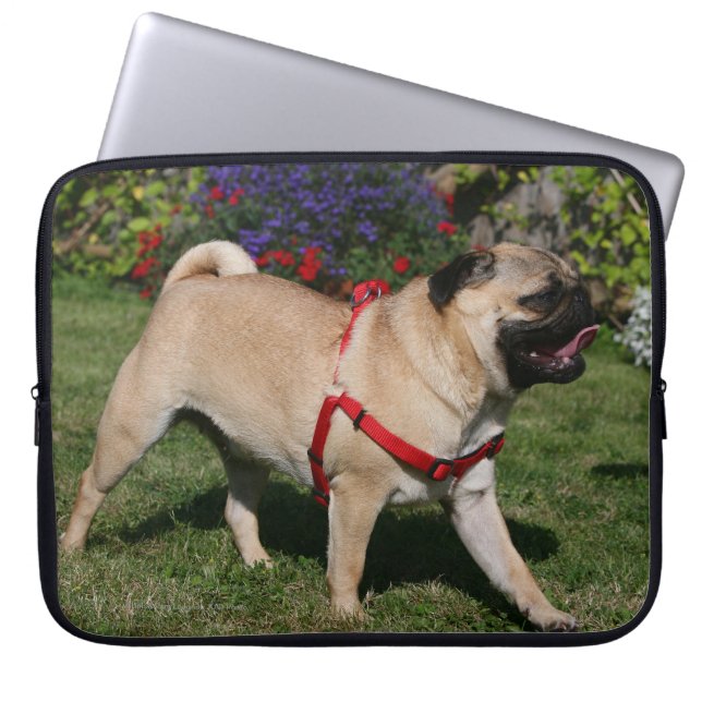 Pug Wearing Red Harness Laptop Sleeve (Voorkant)
