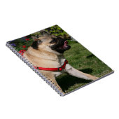 Pug Wearing Red Harness Notitieboek (Rechterzijde)