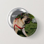 Pug Wearing Red Harness Ronde Button 5,7 Cm (Voorkant /achterkant)